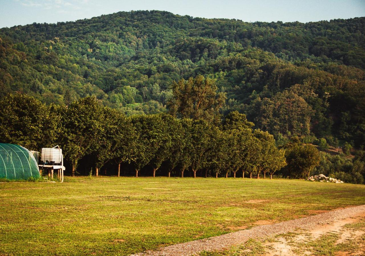 Villa Drinska Kucica à Ljubovija Extérieur photo