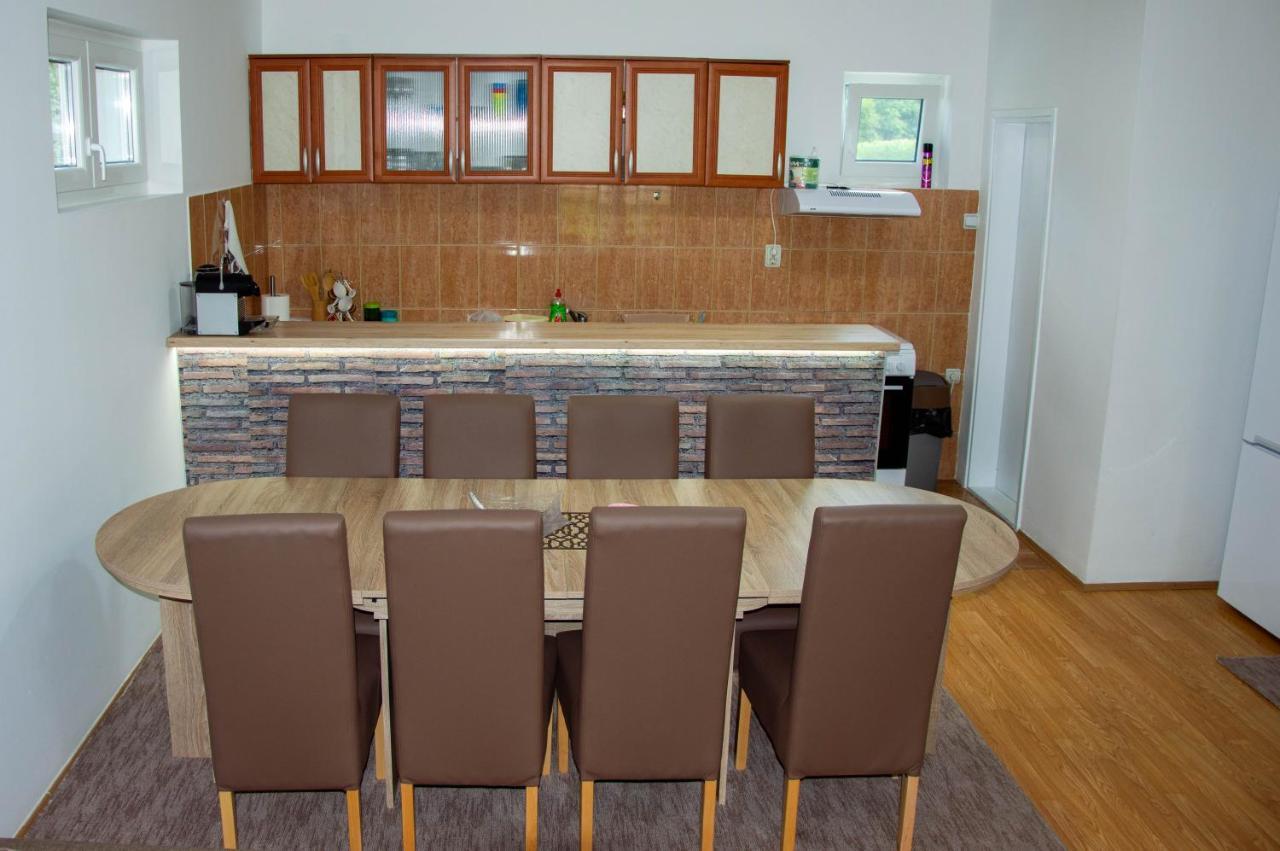 Villa Drinska Kucica à Ljubovija Extérieur photo